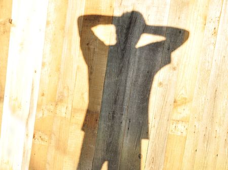 Young man, shadow on woodの写真素材