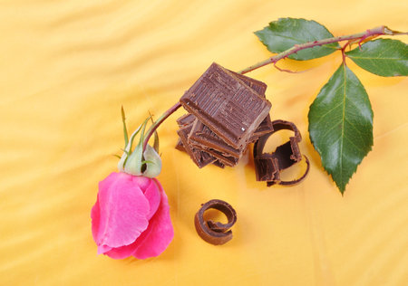 Chocolate, table, pieces, on white backgroundの写真素材