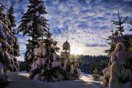 Winter beautiful sceneの写真素材