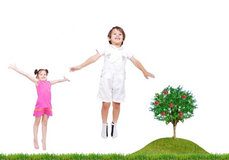 isolated medowの写真素材