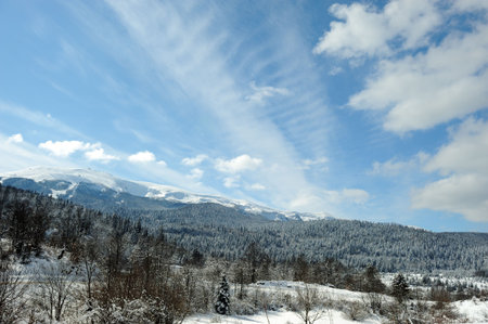 backgroundの写真素材