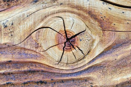 Wood and alwais about the wood. Look for more in my portfolio.の写真素材