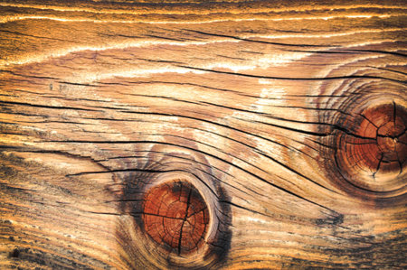 Wood and alwais about the wood. Look for more in my portfolio.の写真素材
