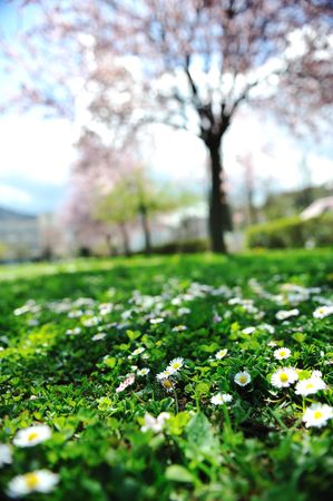 In natureの写真素材