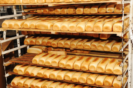 Bread on shelvesの写真素材