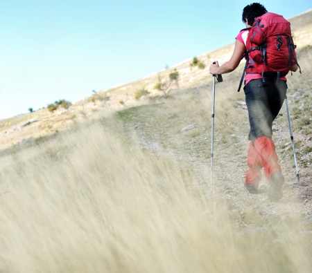 Nordic Walking at mountains, hiking woman in grassの写真素材