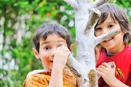 Smiling kids on a treeの写真素材
