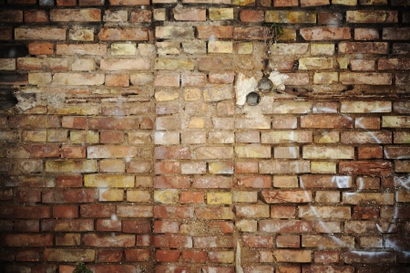 Brick wallの写真素材