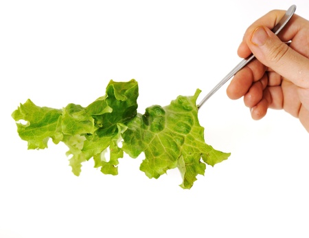 Salad in handの写真素材