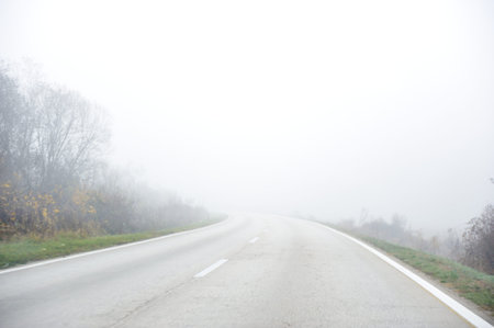 Road in fogの写真素材
