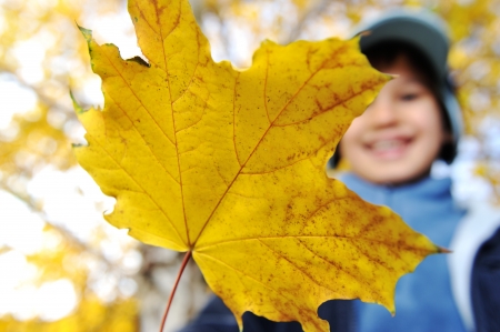 Happy kid and autumn leaves in a parkの写真素材