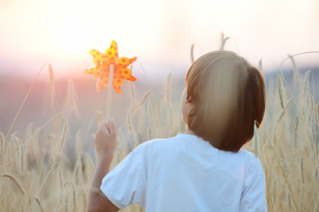Kid at wheat fieldの写真素材