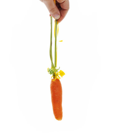 Carrot isolatedの写真素材