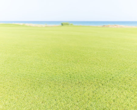 Perfect grass golf course fieldの写真素材