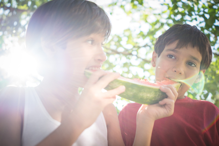 Boys with watermelon enjoying summerの写真素材