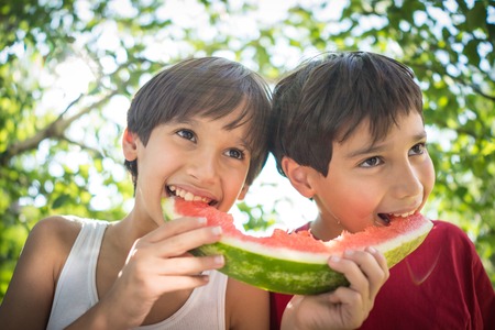 Boys with watermelon enjoying summerの写真素材