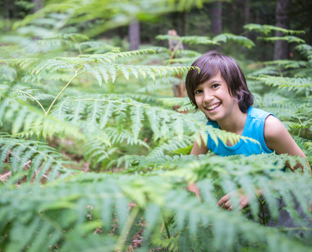 Kids welcome to the forestの写真素材