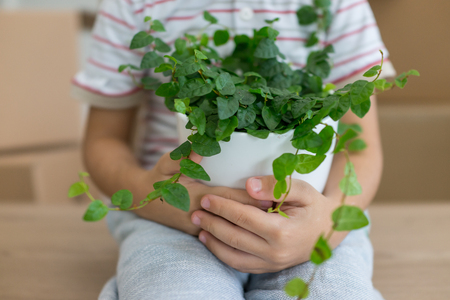 Little cute boy in empty room, remoove to new house home alone between boxesの写真素材