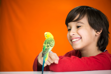 Kid playing with his pet parrotの写真素材