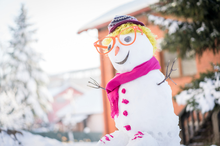 Snowman on snow backgroundの写真素材