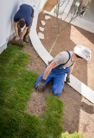 Gardener Installing Natural Grass Turfs Creating Beautiful Lawn Field