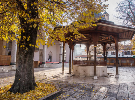Mosque with fountain in frontの写真素材