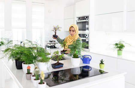 Muslim housewife at home watering plants in kitchenの写真素材