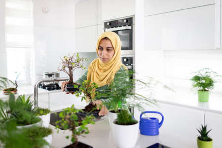 Muslim housewife at home watering plants in kitchenの写真素材
