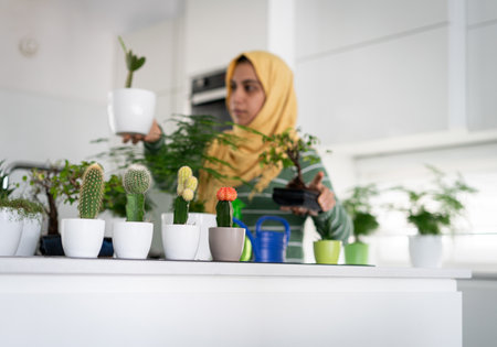 Muslim housewife at home watering plants in kitchenの写真素材