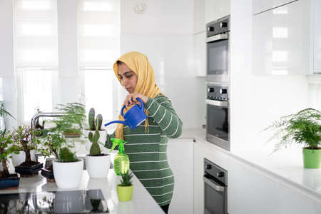 Muslim housewife at home watering plants in kitchenの写真素材
