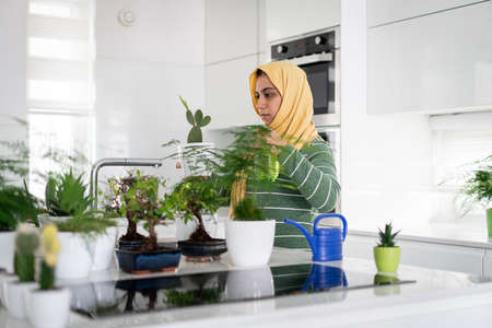 Muslim housewife at home watering plants in kitchenの写真素材