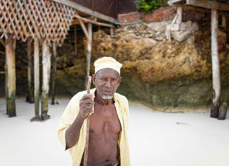 Aged African shepard walking on the beach holding stickの写真素材