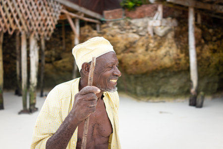 Aged African shepard walking on the beach holding stickの写真素材