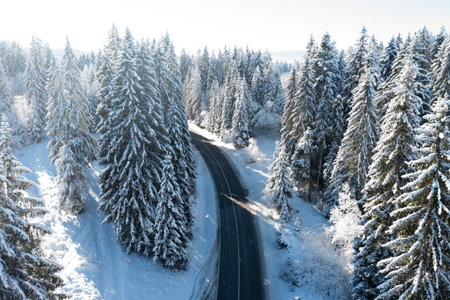 Car on road in winter trough a forest covered with snow. High quality photo