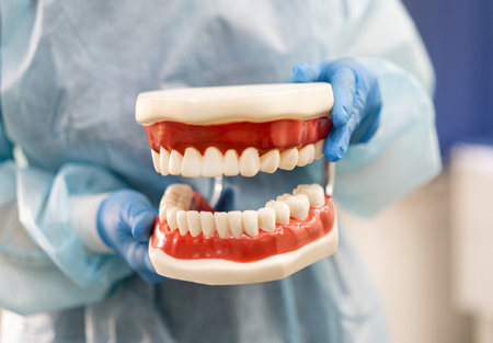 Visiting friendly and professional dentist doctor . high quality photoの写真素材