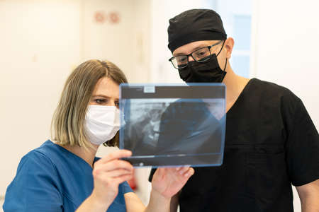 Two doctors checking x-ray image in hospital, quality photoの写真素材