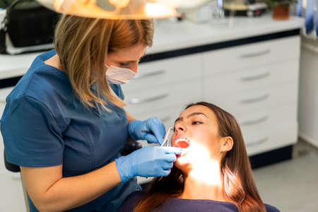 Visiting friendly and professional dentist. High quality photoの写真素材