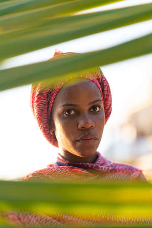 Beautiful dark skin young woman between palm branches on beach photoの写真素材