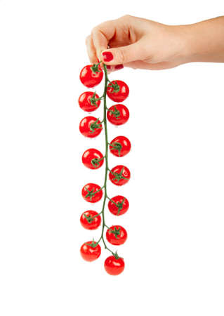 cherry tomatoesの写真素材