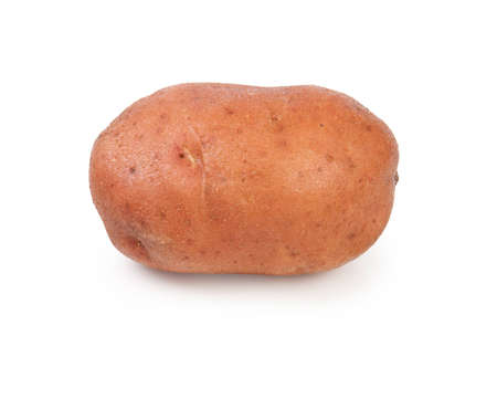 potato isolated on whiteの写真素材