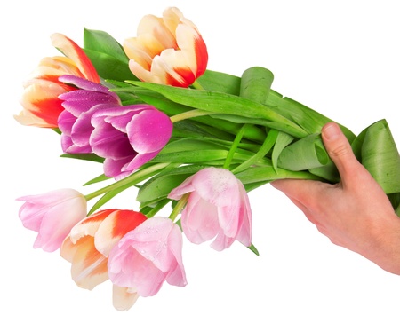 Tulip flowers postcard concept の写真素材
