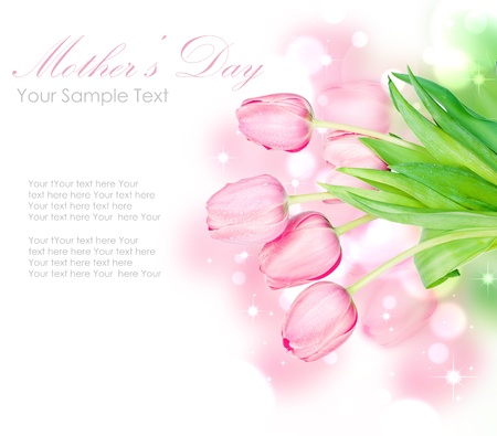 Fresh spring tulip flowers isolated on whiteの写真素材