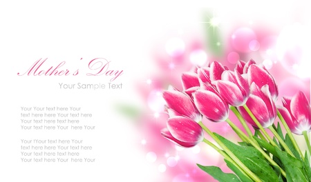 Fresh spring tulip flowers isolated on whiteの写真素材