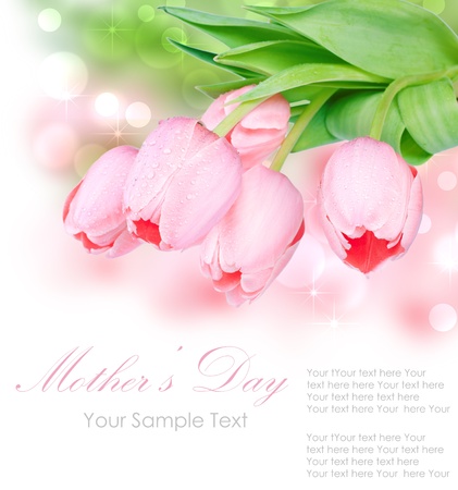 Fresh spring tulip flowers isolated on whiteの写真素材