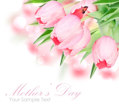 Fresh spring tulip flowers isolated on whiteの写真素材