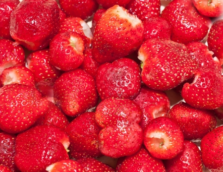 Fresh red raspberriesの写真素材