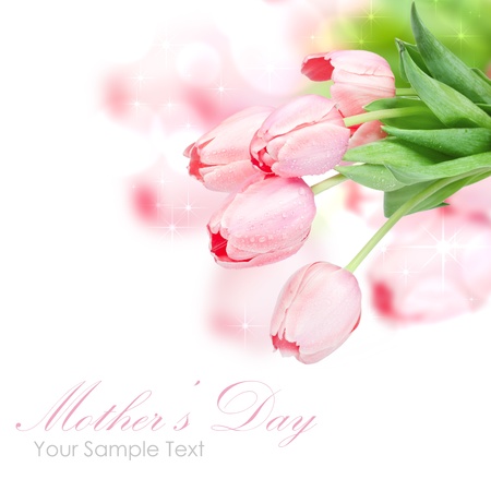 Tulip flowers isolated on whiteの写真素材