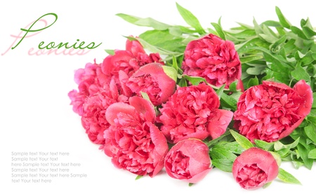 Large bouquet of fresh peoniesの写真素材