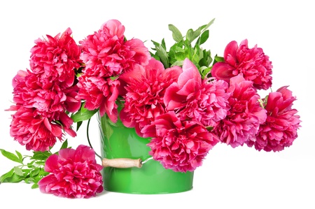 Large bouquet of fresh peoniesの写真素材