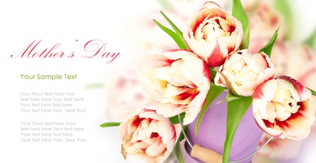 Fresh spring tulip  flowers as a holiday postcard designの写真素材